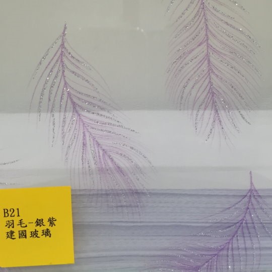 羽毛-銀紫